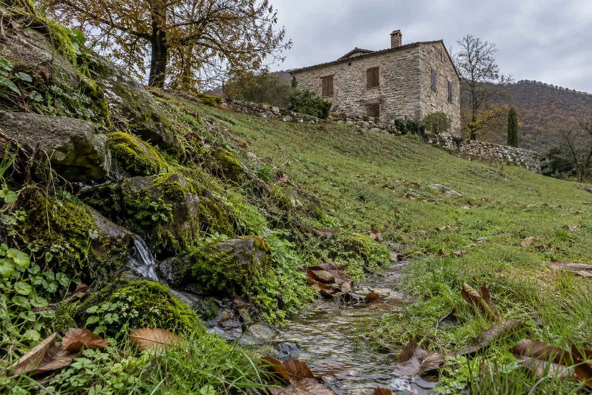 Filet d’eau claire qui sourd au pied d’un talus herbeux en contrebas d’une maison de pierre